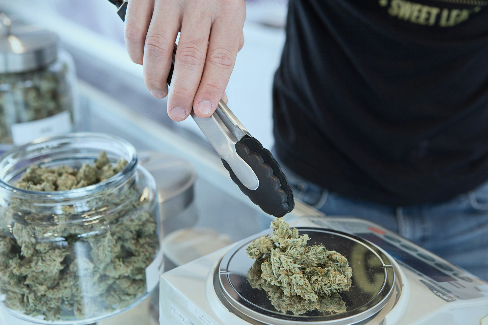 The Rise of Medical Cannabis in the U.S.