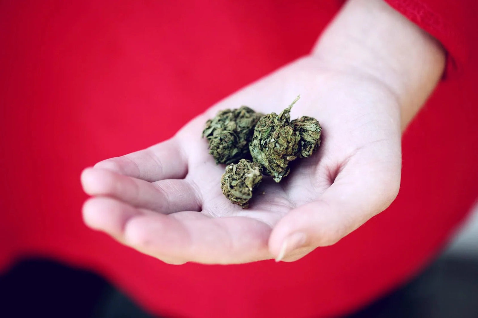 Top 10 Health Benefits of Smoking Weed