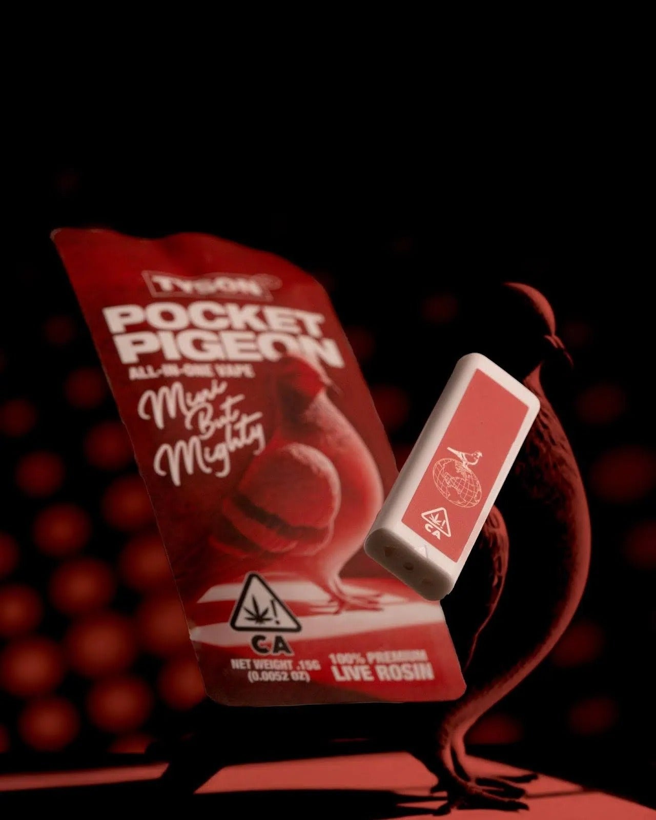 POCKET PIGEONS HAVE LANDED