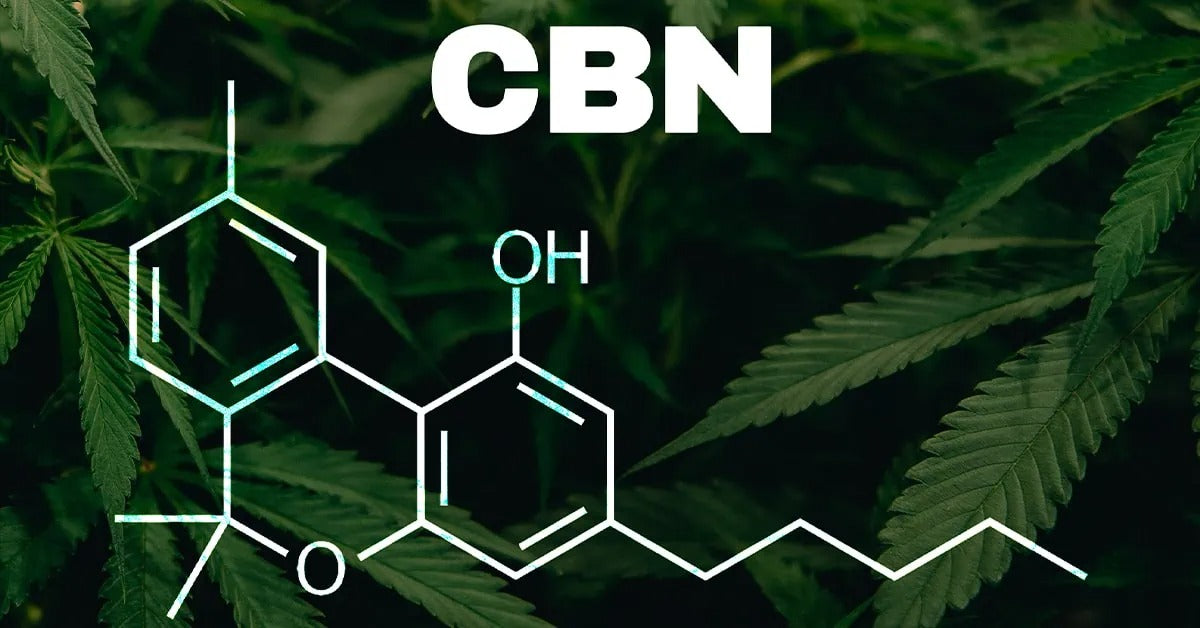 What is CBN? Everything You Need to Know
