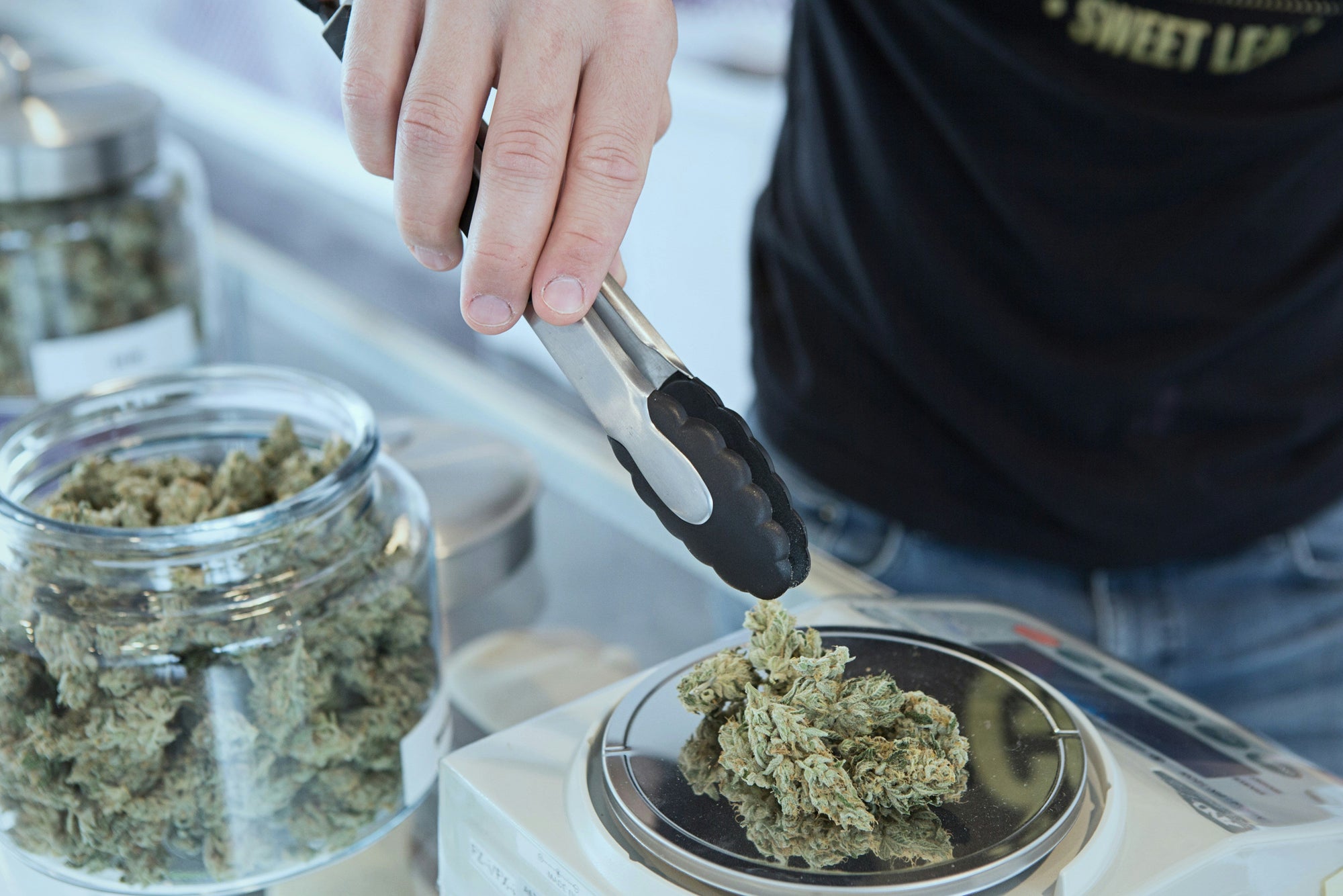 The Rise of Medical Cannabis in the U.S.