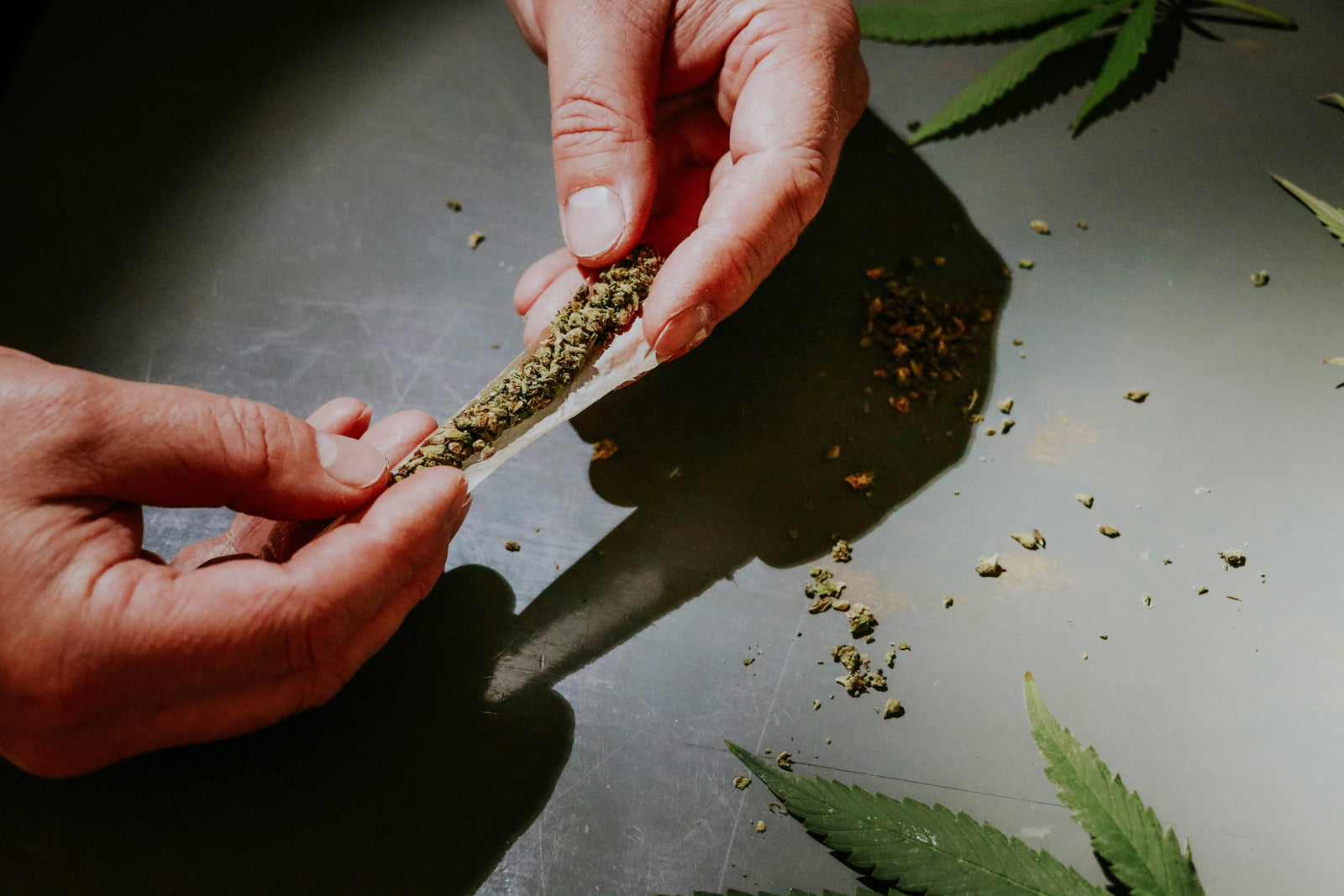 Why the Same Cannabis Product Can Feel Different From One Session to the Next
