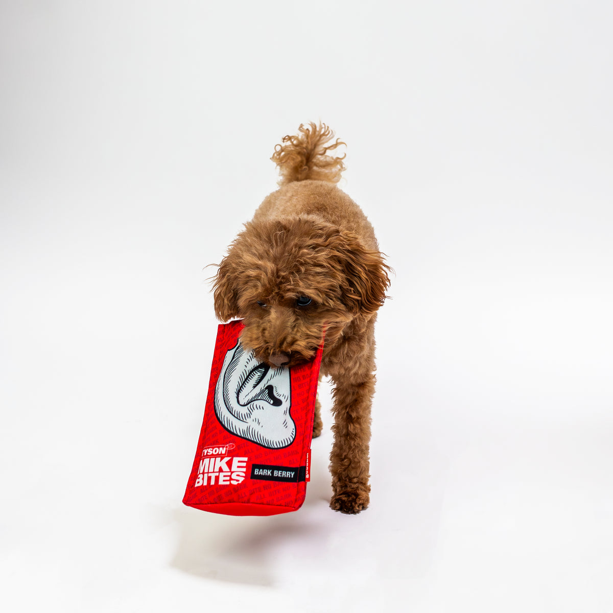 Mike Bites Dog Toy
