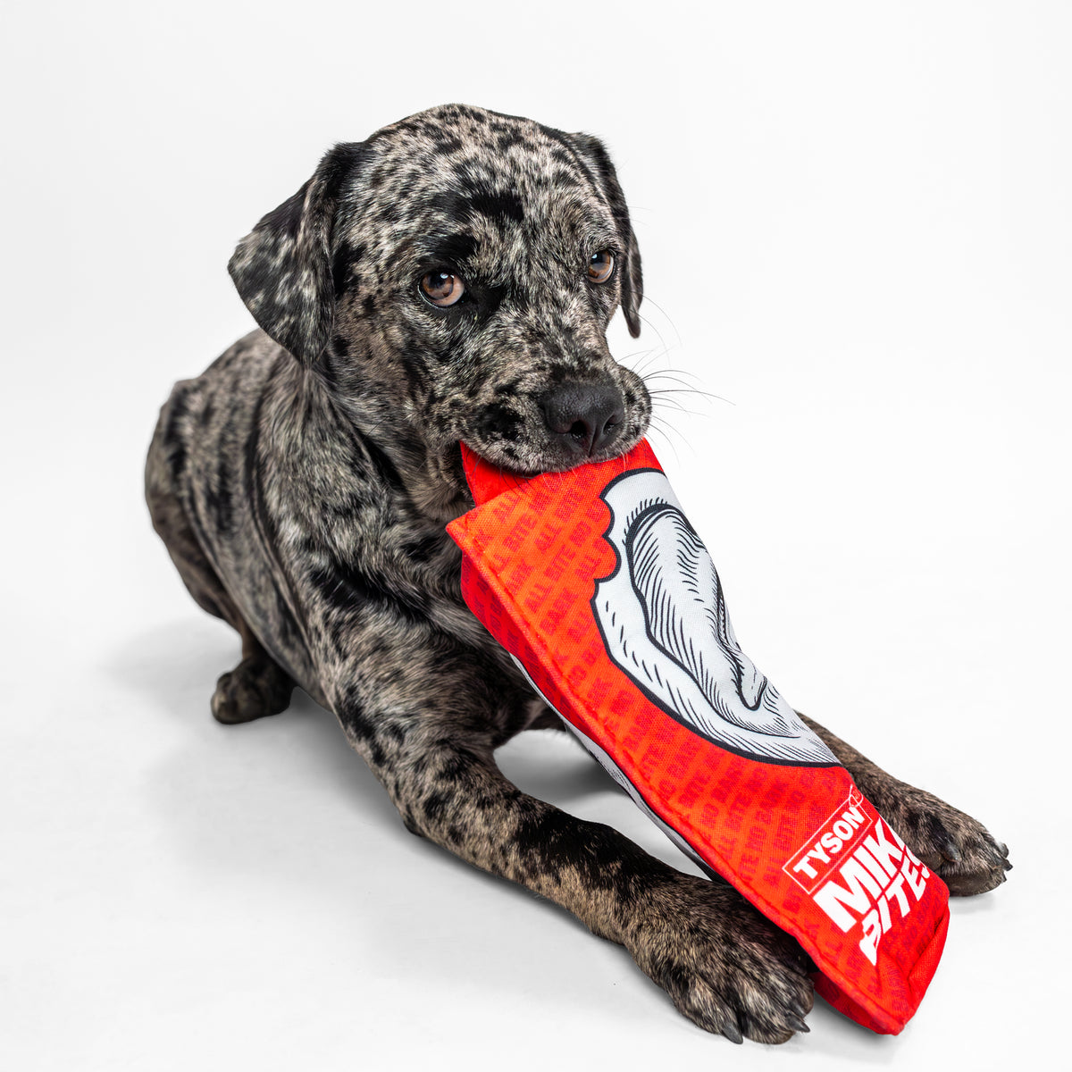 Mike Bites Dog Toy