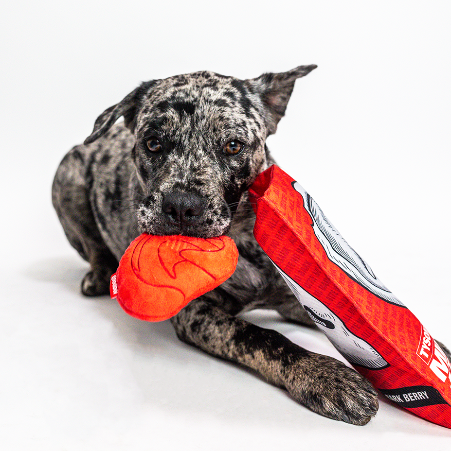 Mike Bites Dog Toy