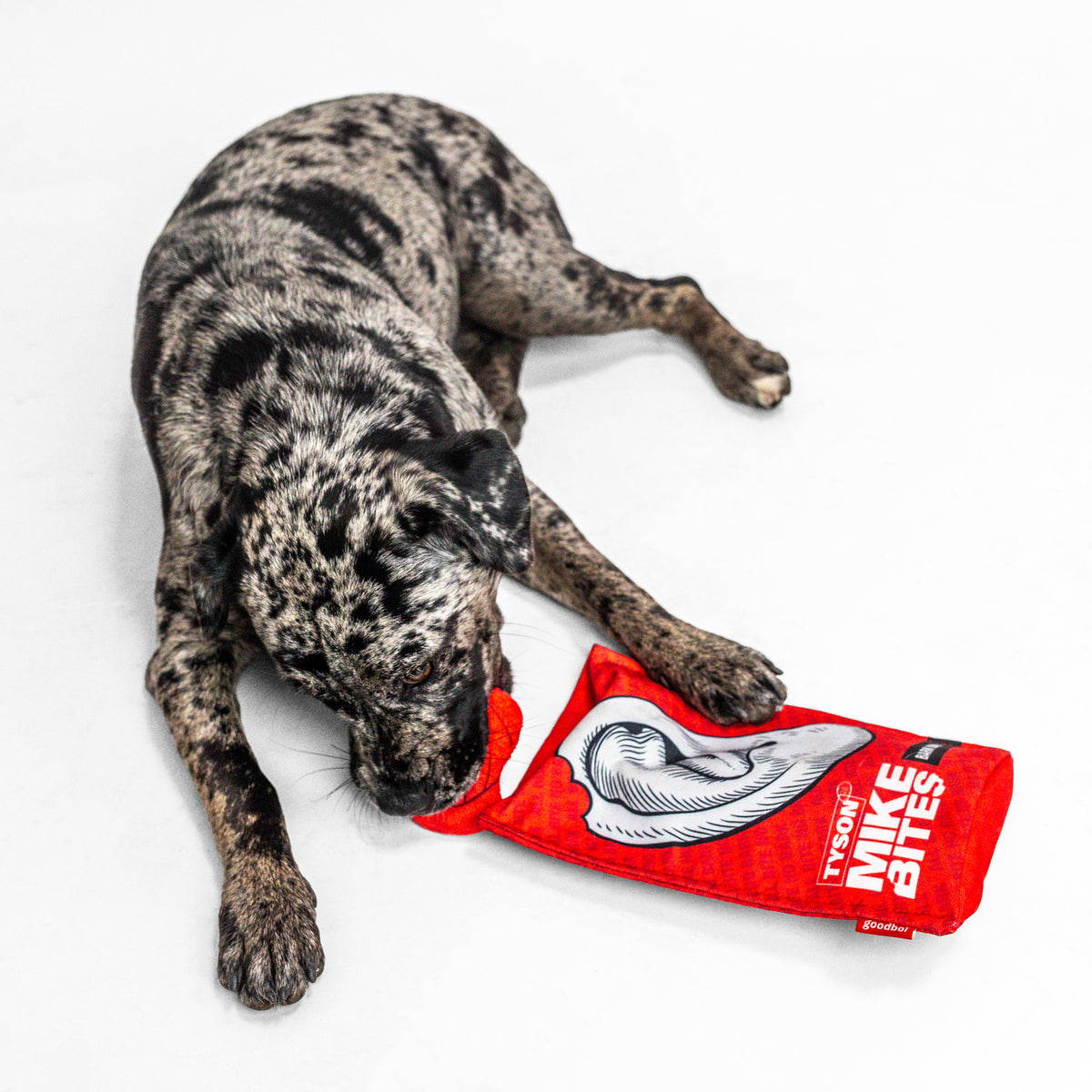 Mike Bites Dog Toy
